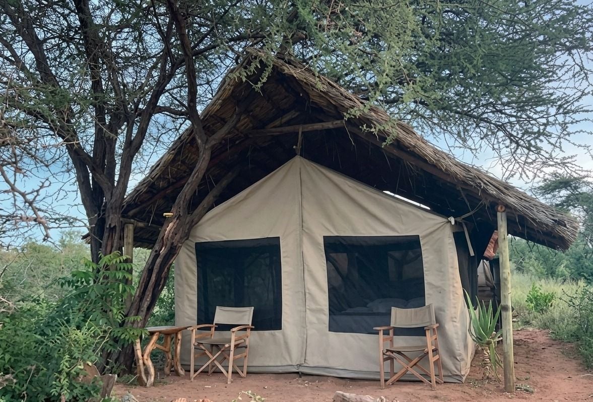 Accommodation